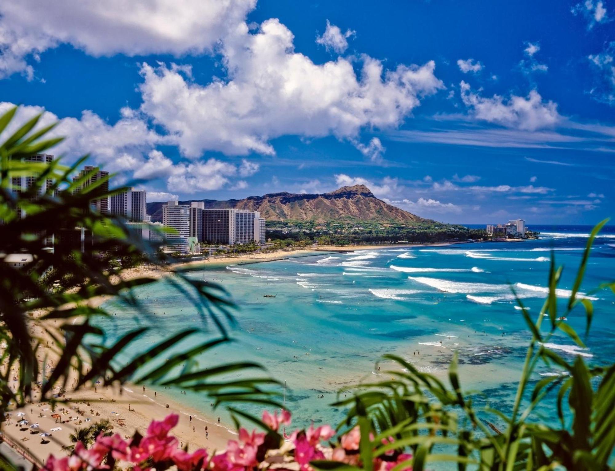 Villa Modern Surf Chic Waikiki Studio à Honolulu Extérieur photo